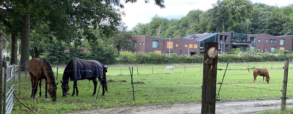 Coen Drion over rechterlijke uitspraken die de feiten miskennen