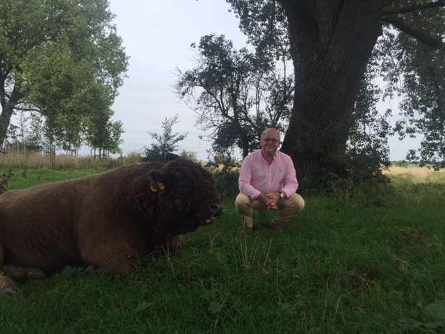 Foto.Koe.Ooijpolder