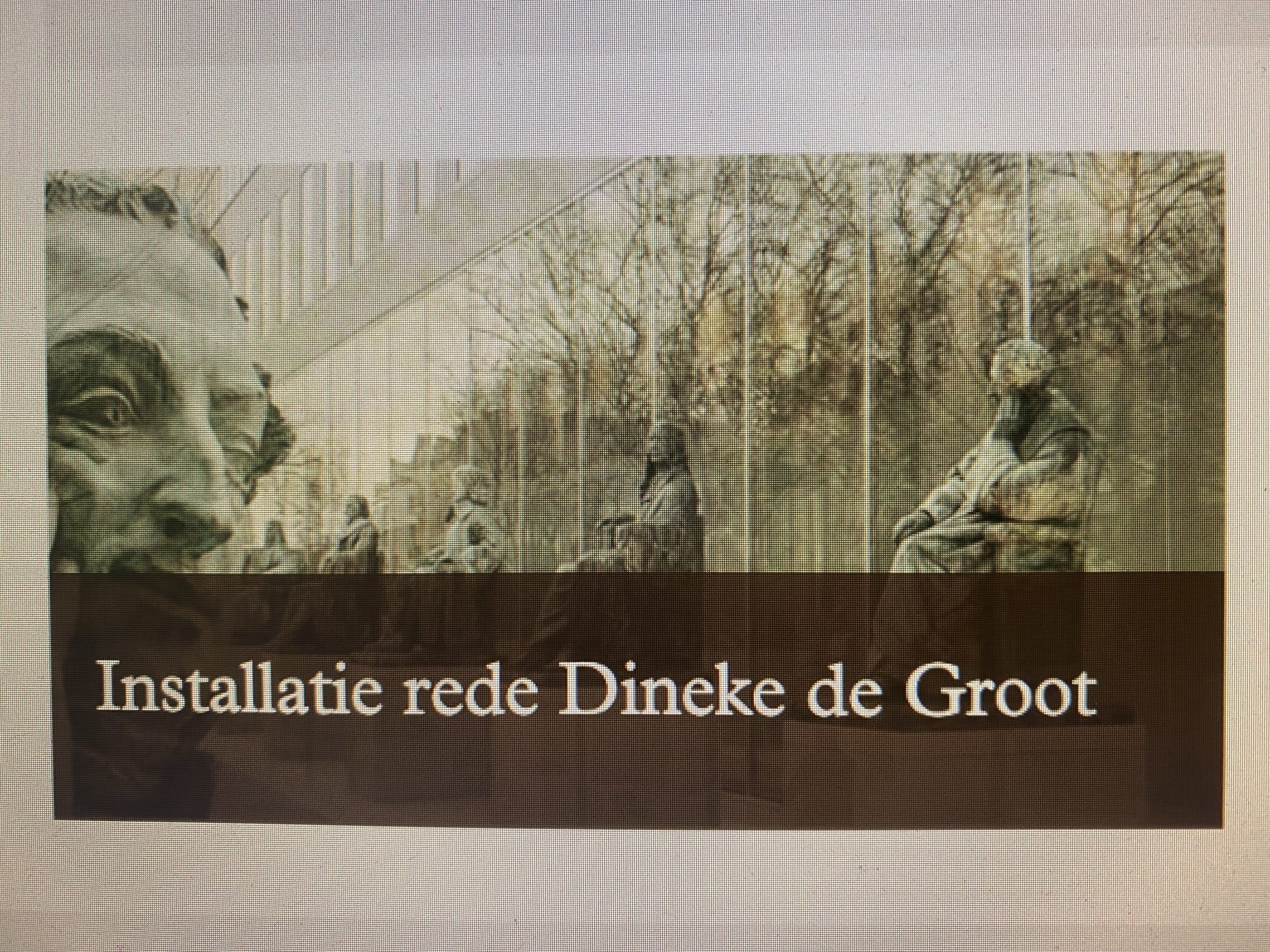 Installatie rede Dineke de Groot - - van Swaaij Cassastie & Consultancy - cassatieadvocaat - cassatie advocaat