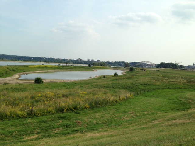 Waalbrug in de verte